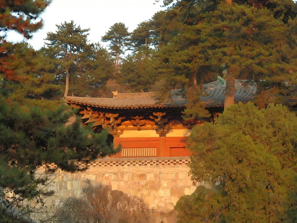 古建讲解选择及购买全指南